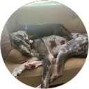 Veronica Drake profile picture